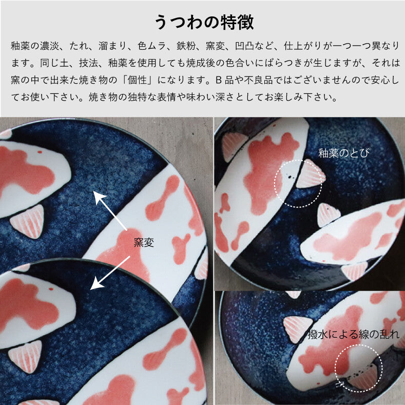 Japanese Dinnerware Mino ware Koi Set 8